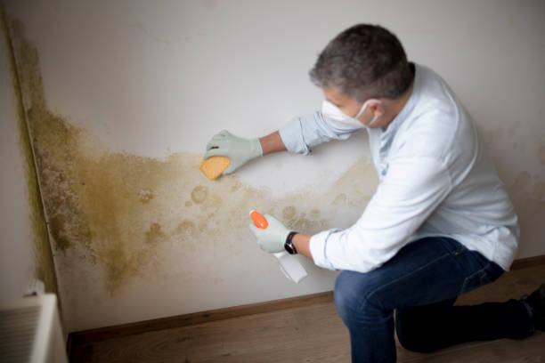 Best Airborne Mold Testing  in Calvert City, KY