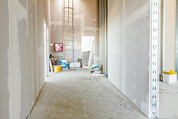 Best Environmental Consulting for Mold Prevention  in Calvert City, KY
